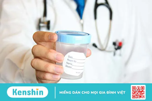 Xét nghiệm Microalbumin niệu phát hiện được những bệnh gì? 03