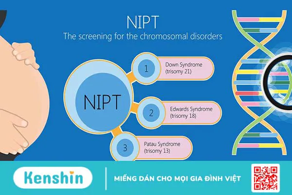 Xét nghiệm NIPT ở đâu? Bạn đã biết chưa?