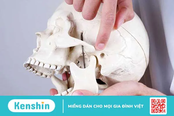 Xử trí nếu bị sái quai hàm khi ngáp